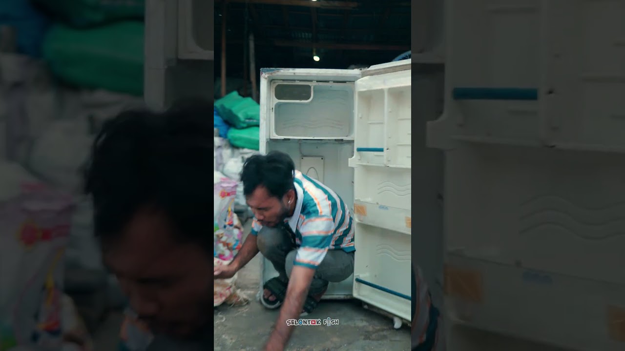 Part Ending Buang Angin #SelontokFishOfficial #NgeShortsBareng #PalembangNian