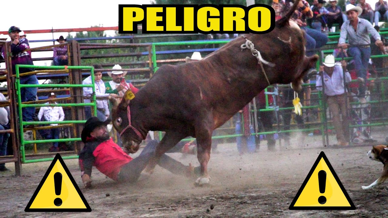 PARTE 2 ¡LOS TOROS MAS BRAVOS Y PELIGR0SOS DEL JARIPEO!