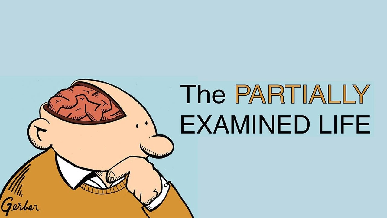 Partially Examined Life #301: Is Abortion Morally Permissible? (Part Three)