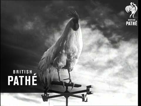 Pathe News Main Titles (1950)