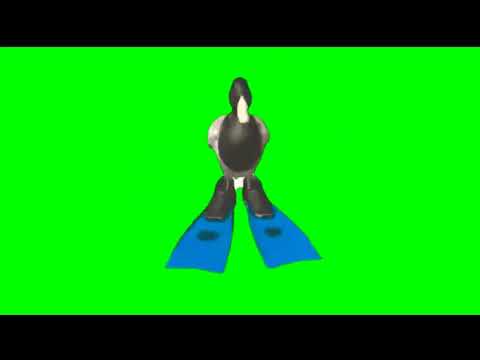 Pato girando en pantalla Verde