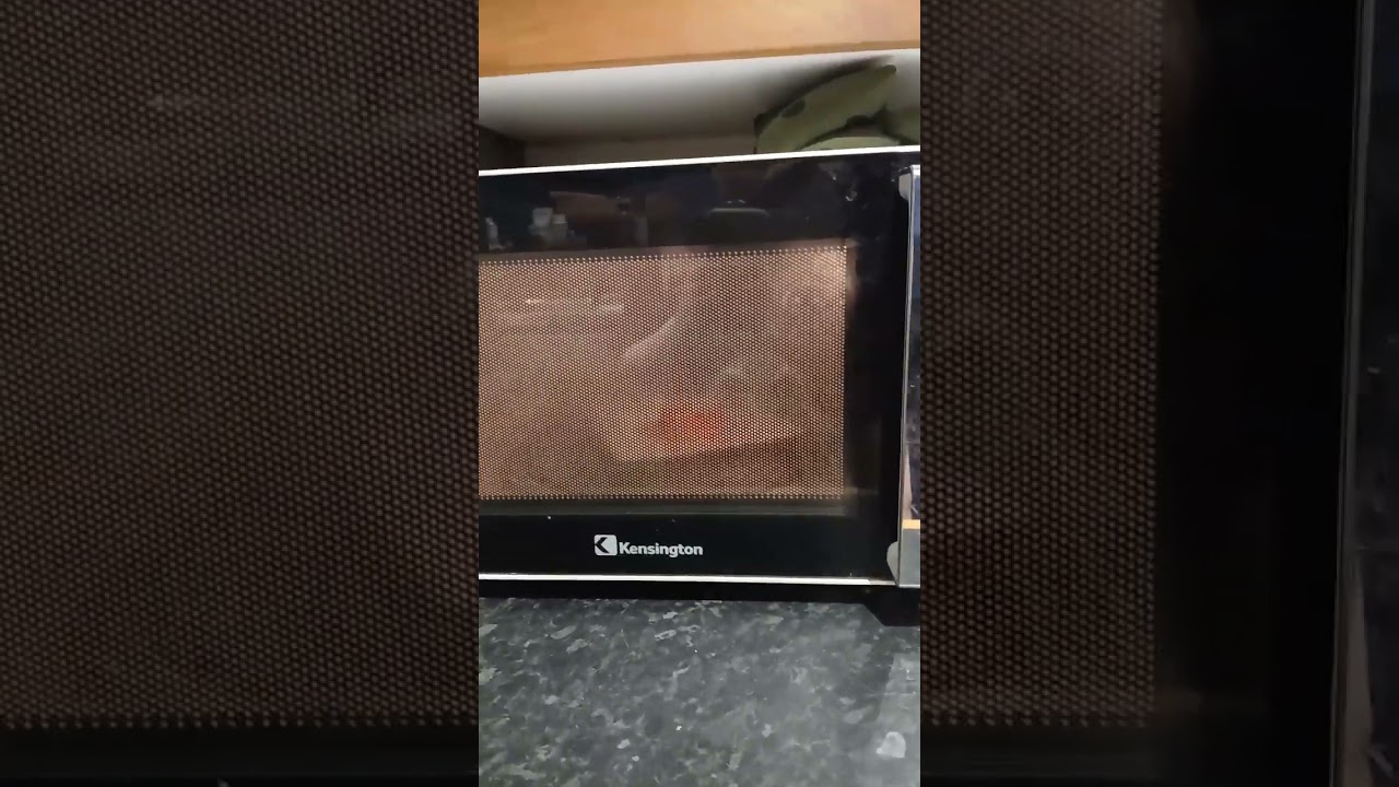 Patricks cousin gets microwaved alive #impacto #dog #sad #changetheworld #myfinalmessage #goodbye