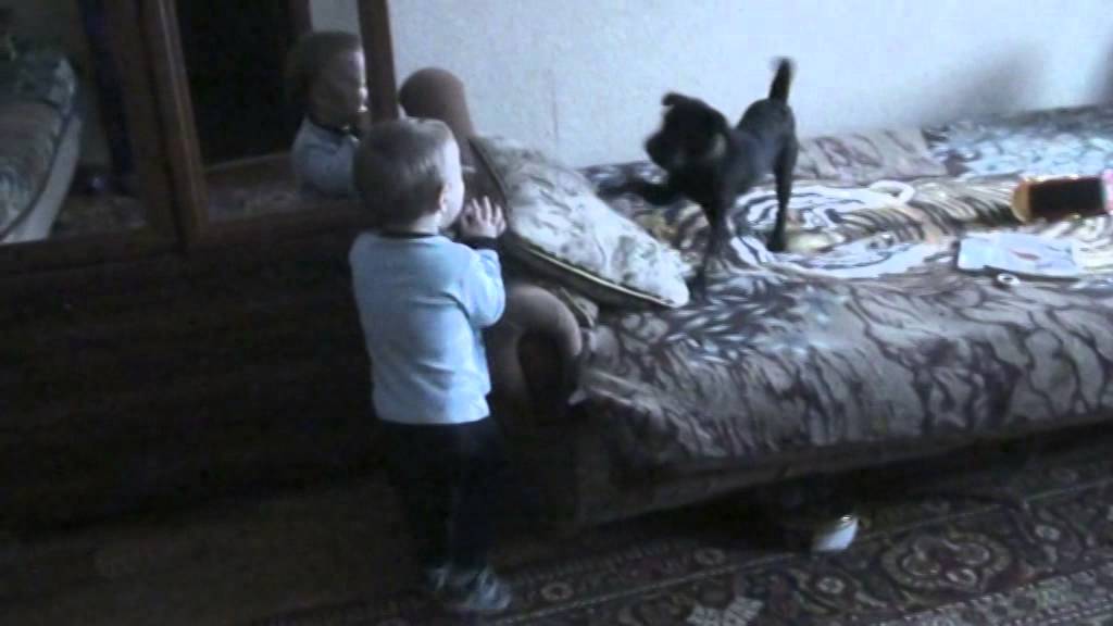 Patterdale Belle and my nephew