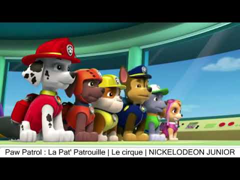 Paw Patrol : La Pat' Patrouille | Le cirque | NICKELODEON JUNIOR