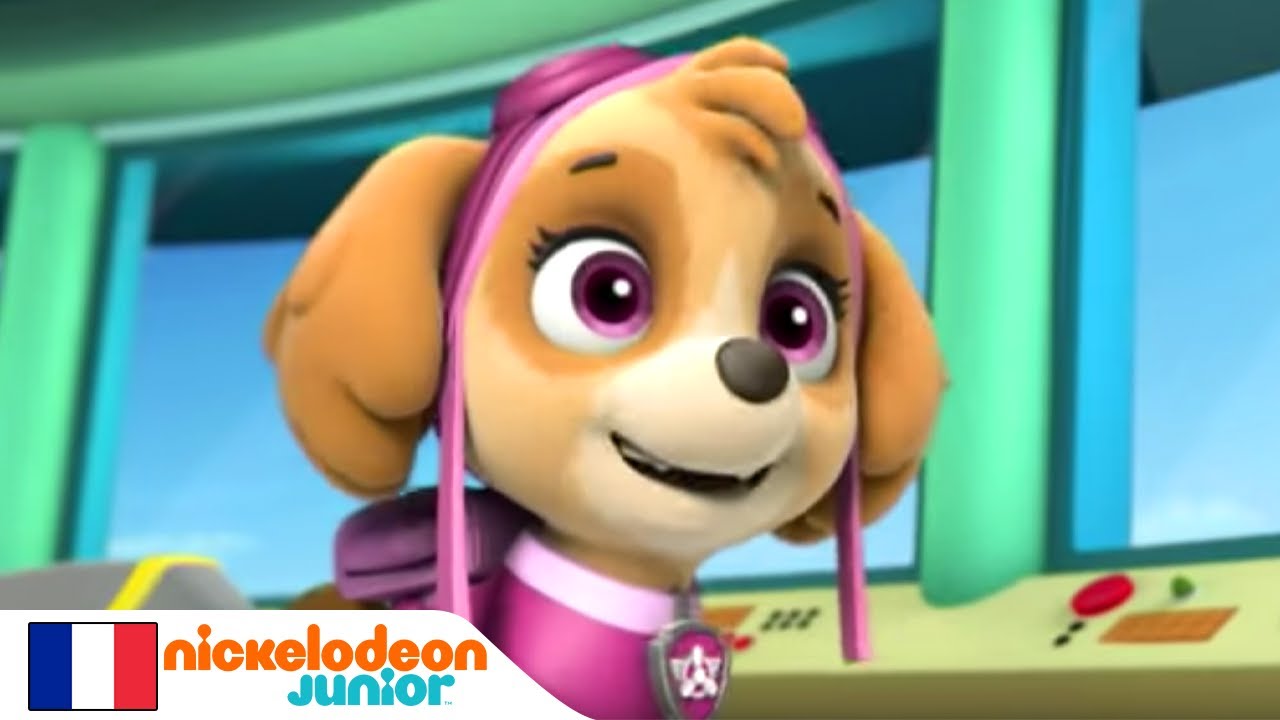 Paw Patrol : La Pat' Patrouille | Le cirque | NICKELODEON JUNIOR