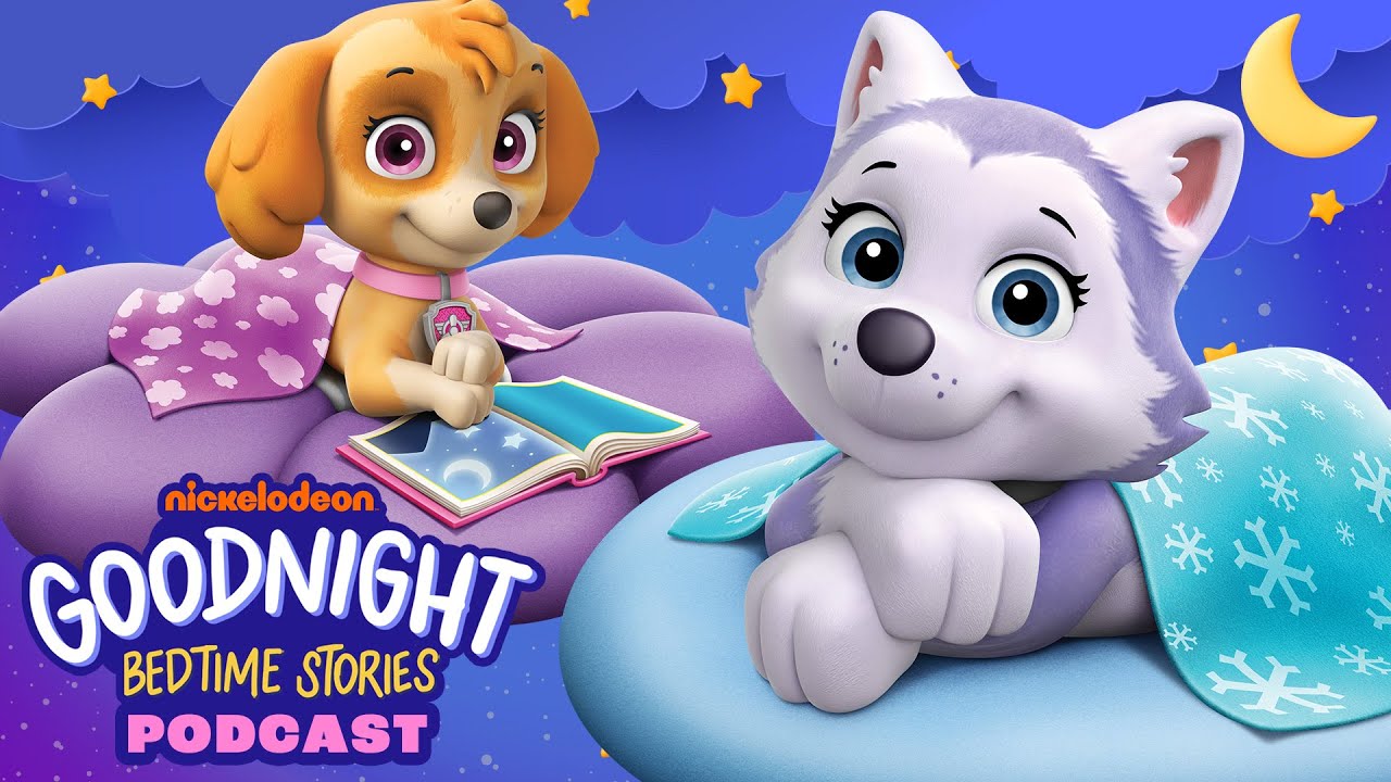 PAW Patrol Bedtime Stories in the Wild Podcast!🌙🌲 | Goodnight Bedtime Stories #5 | Nick Jr. Music