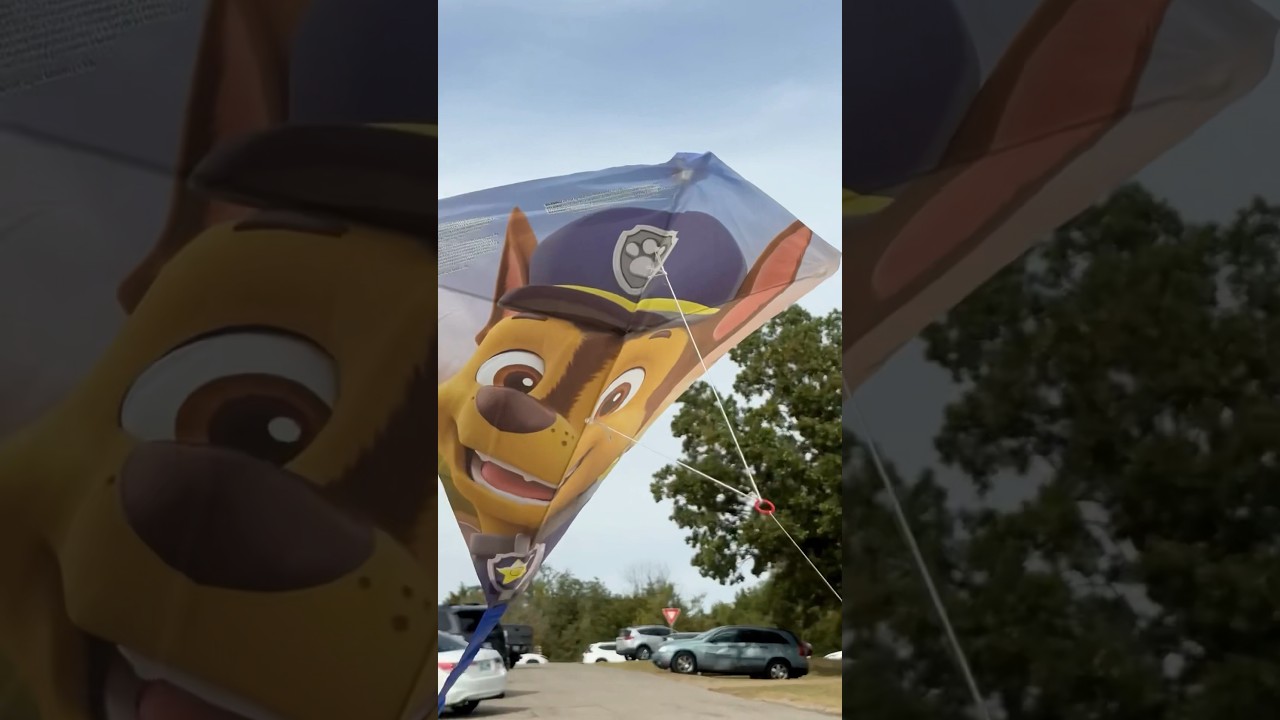 PAW Patrol Kite! 🪁 #kite #pawpatrol #shorts