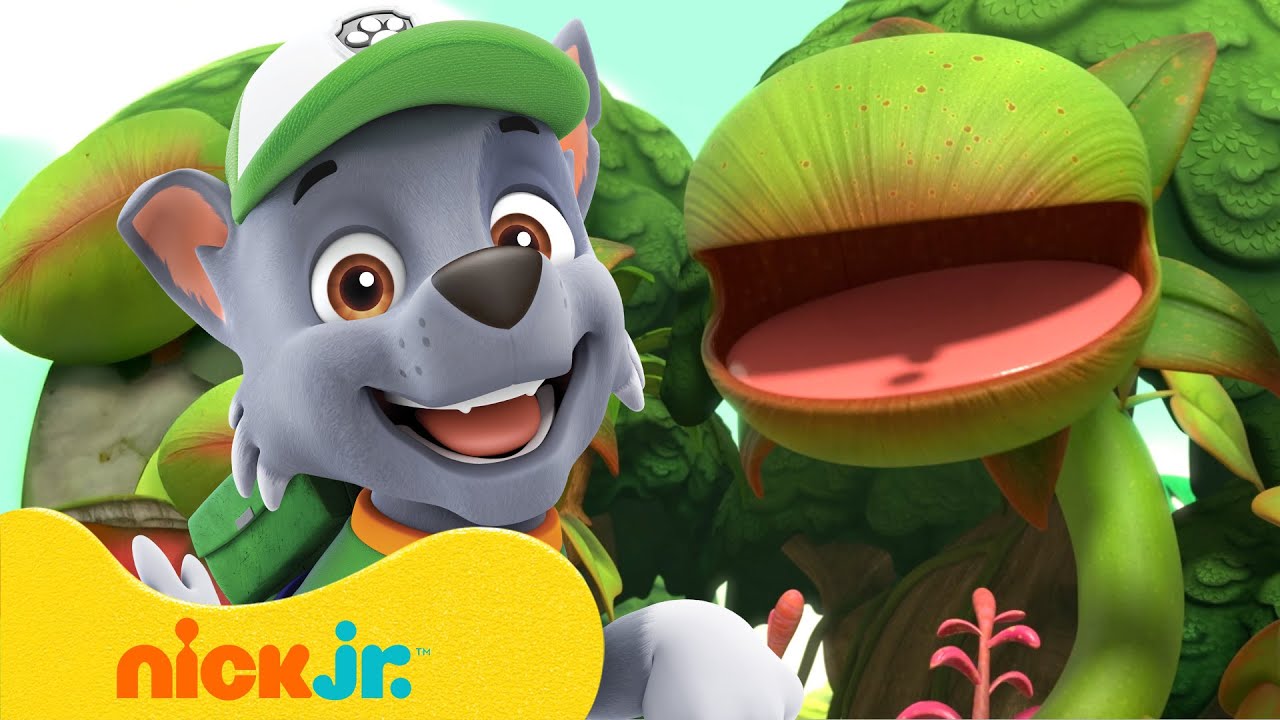 PAW Patrol Pups Grow Plants! w/ Rocky 🌱 10 Minutes | Nick Jr.