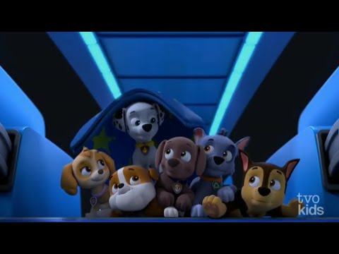 paw patrol pups save the tooth fairy : Marshall's wipeout clip