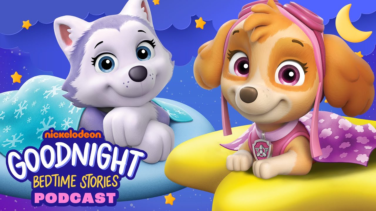 PAW Patrol Soars Into Dreamland Podcast! 😴 Goodnight Bedtime Stories #1 | Nick Jr. Music