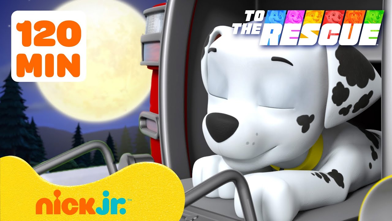 PAW Patrol To The Rescue: Bedtime Healthy Habits for 90 Minutes 😴 | Nick Jr