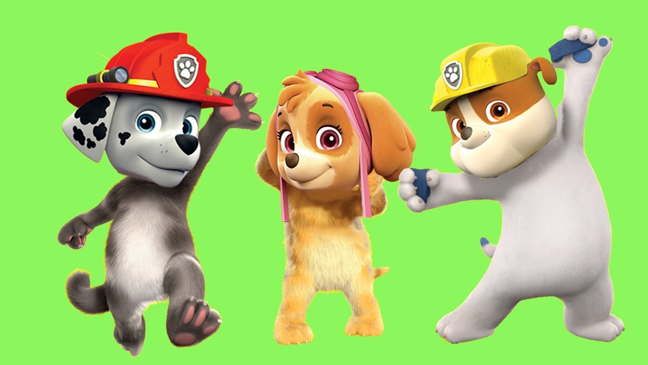 Paw Patrol Transforms Into Talking Tom Finger Family Song | Daddy Finger Family Nursery Rhymes Lyric