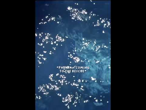 Payakan is the real hero #avatar2 #avatarthewayofwater #avatar #loak #payakan
