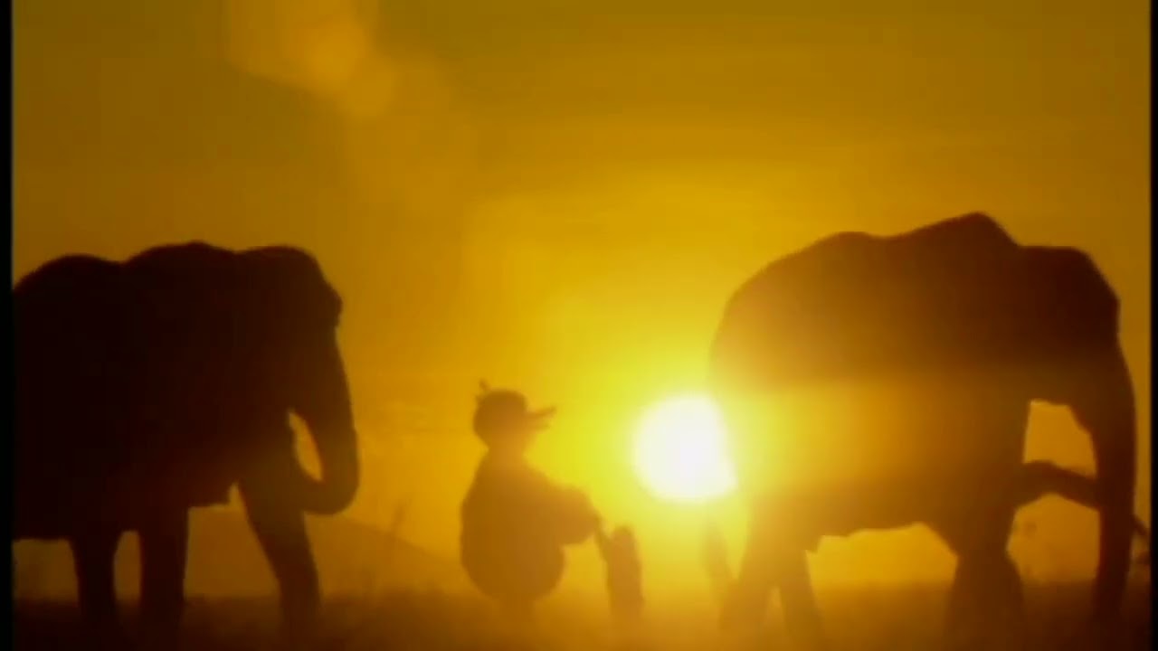 PBS: Big Bird Promo (2019) v2