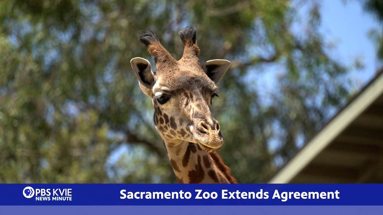 PBS KVIE News Minute | June 19, 2025
