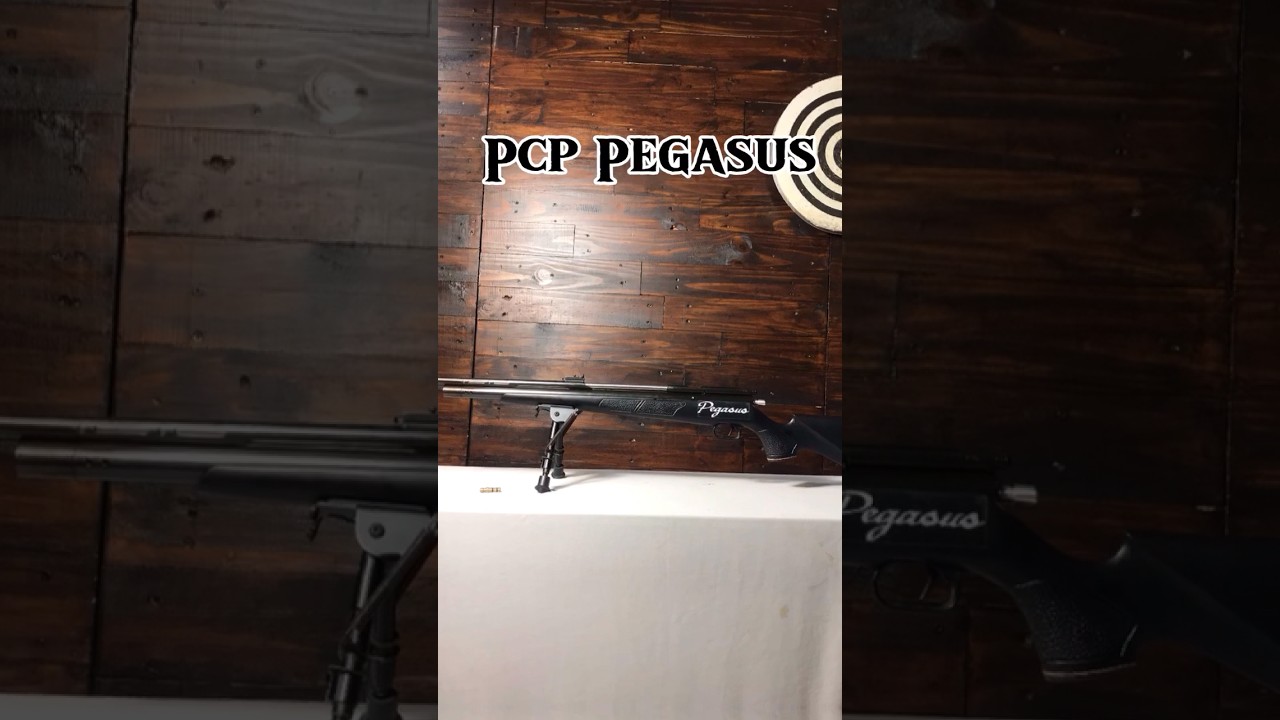 Pcp Pegasus + Teleskop, di bawah 2 jt Saja #senapanangin #senapananginmurah #senapanbiggame