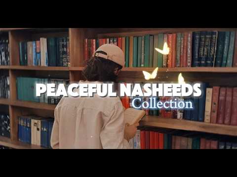 Peacful Nasheed Collection 🎧🦋 || Beautiful Collection Ever 🎧🪽✨ || Zahara Typist