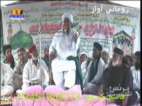 Peer dilber sain