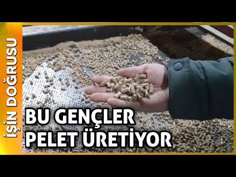 Pelet Yakıt Nasıl Yapılıyor? Ham Maddeden İhracata Uzanan Yol - FEF Pelet / Bandırma