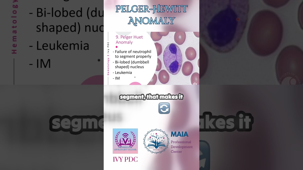 Pelger-Hewitt/ Pelger-Huët Anomaly
