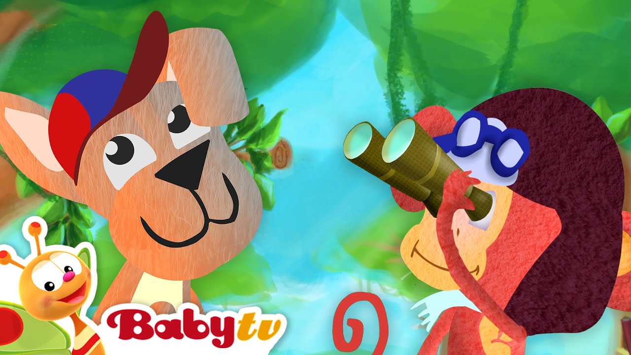 Pelicans - Social Birds in Flocks | Learn About Animals @BabyTV