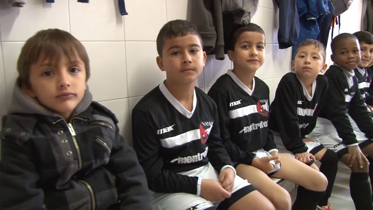 Pemis Fundació- Persona Club: ONG Diapo