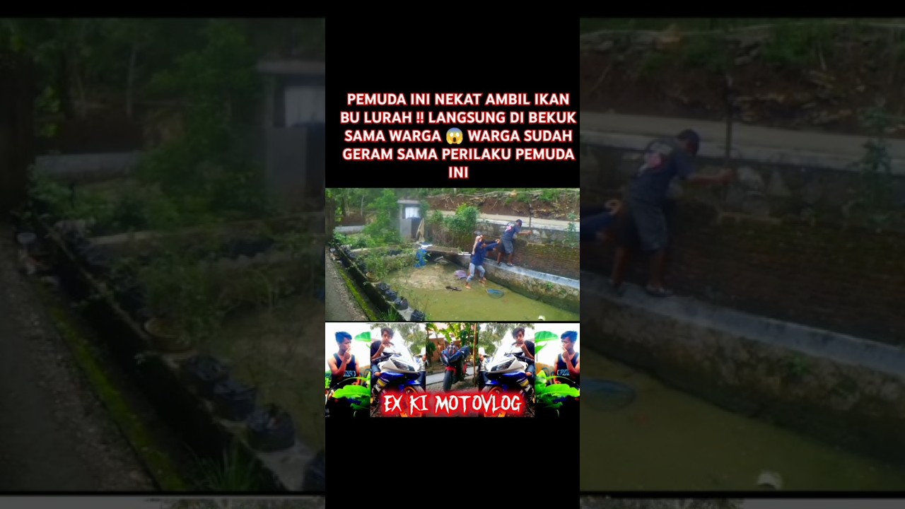 PEMUDA INI NEKAT AMBIL IKAN BU LURAH !! LANGSUNG DI BEKUK SAMA WARGA #feedshorts