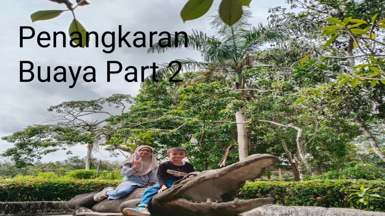 Penangkaran buaya part 2 balikpapan