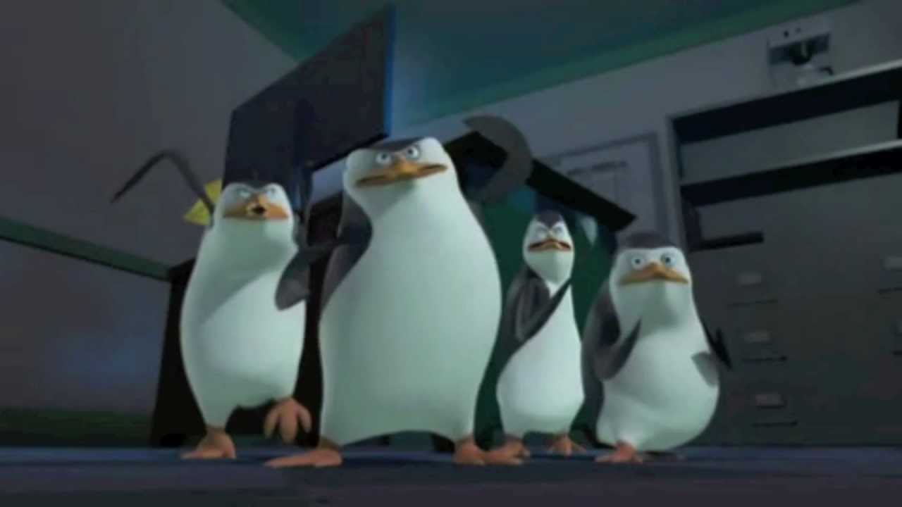 Penguin Transformers
