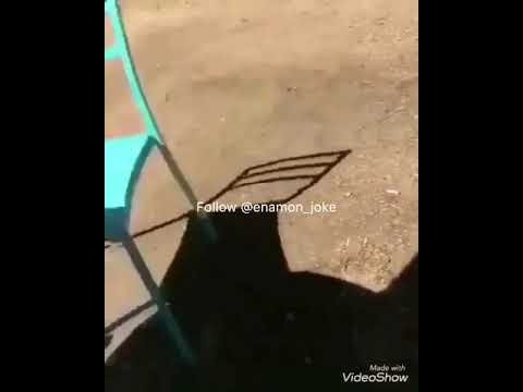 Penis terbesar didunia