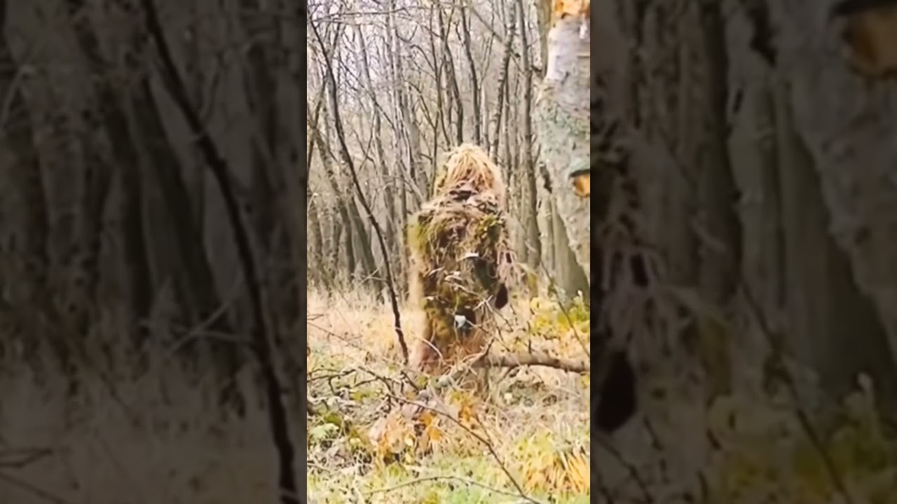 PENYAMARAN SNIPER TNI SEMPURNA #sniper #akmil #tni #penyamaran #tniad #tnial #tniau
