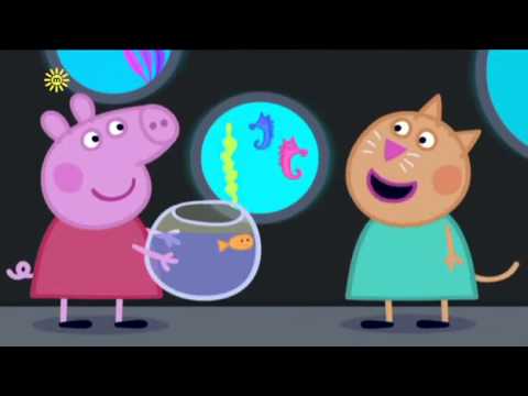 Peppa pig   the aquarium english episodes