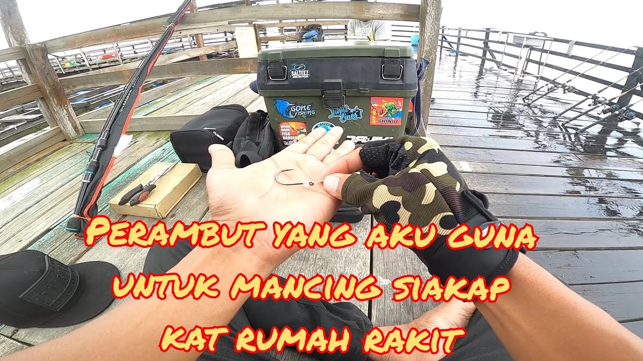 PERAMBUT MANCING SIAKAP BAWAH RUMAH RAKIT