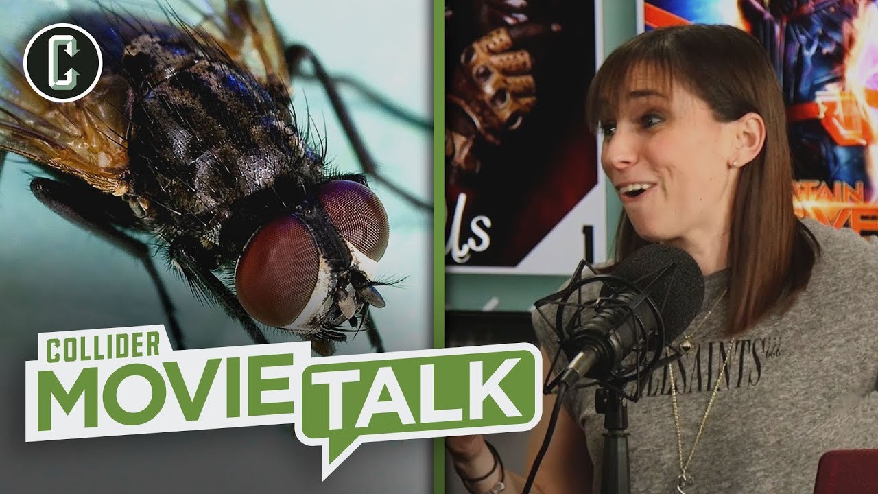 Perri Catches a Fly Live on Movie Talk