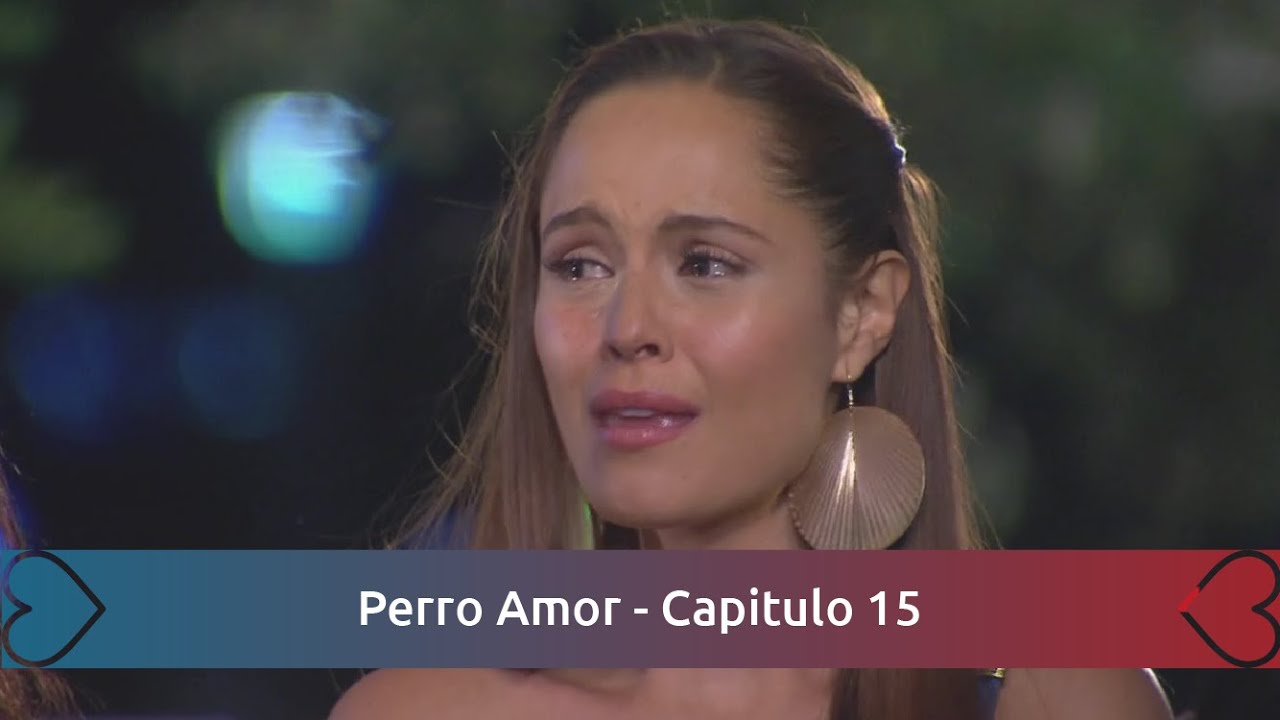 Perro amor - Capitulo 15