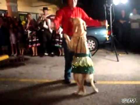 Perro Bailando Merengue