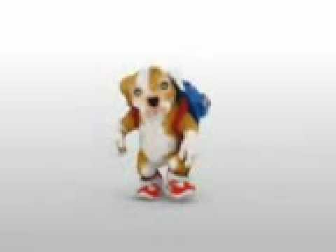 perro chacarron macarron