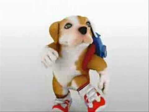 perro chacarron