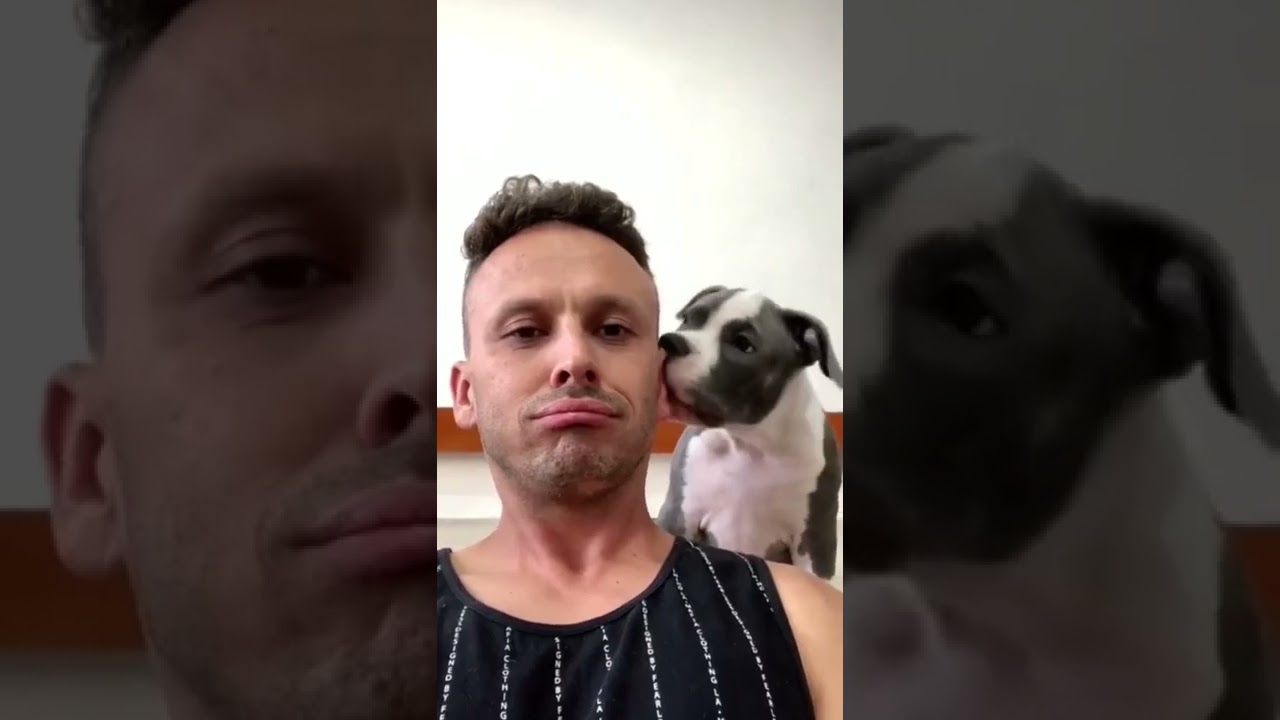 Perro lame el oído de su dueño #shorts