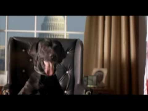 Perro Lipigas se comunica con Guaguak Obama