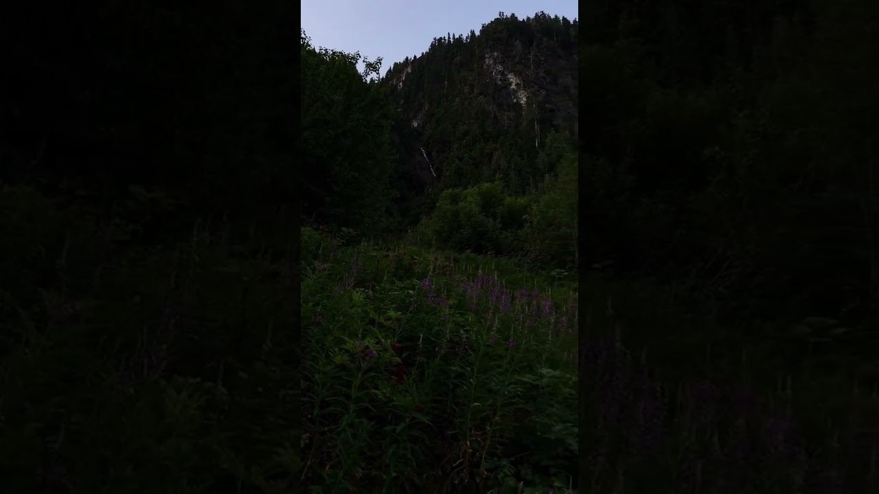 perry creek.