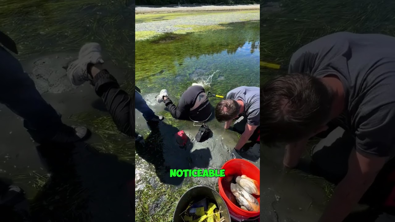 Person STUCK Upside Down In Mud #shorts