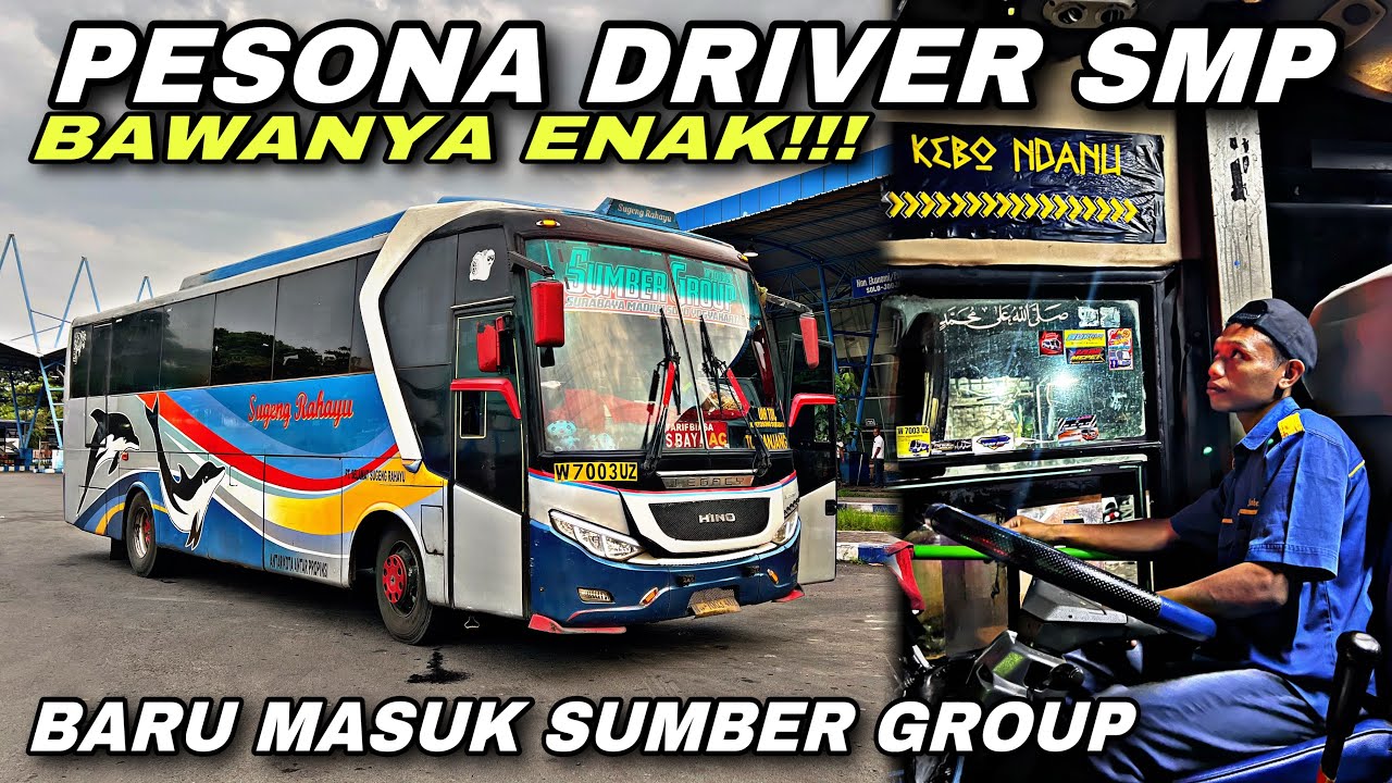 Pesona Driver SMP 😱 Baru Masuk Sumber , Bawanya Enak ❗️| trip Sugeng Rahayu W 7003 UZ “ Kebo Ndanu “