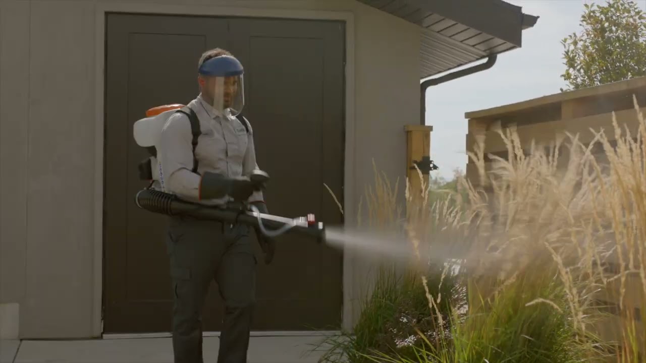 Pest Facts (Probably) — Mosquitoes — Saela Pest Control