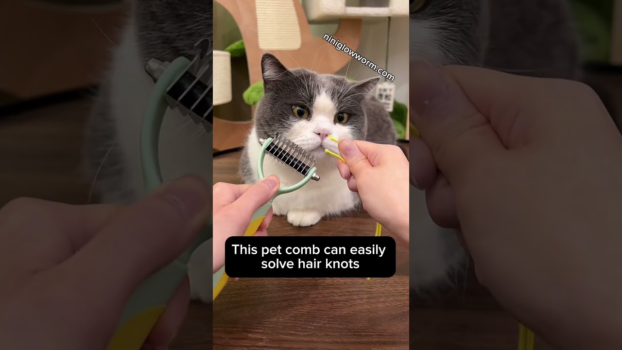 Pet comb Dog and Cat brush #cat #petbrush #dog #pets #petsupplies  #petcare #catlover #petgrooming