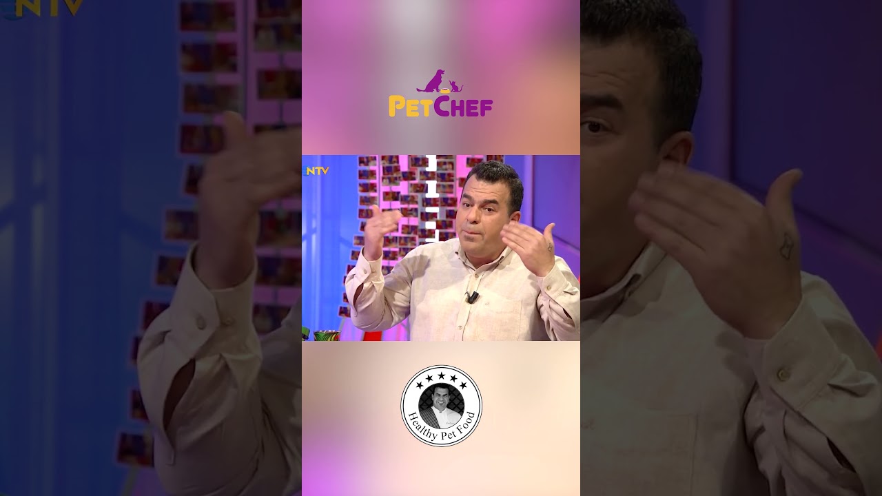 PetChef ile Altın Macun Tarifi