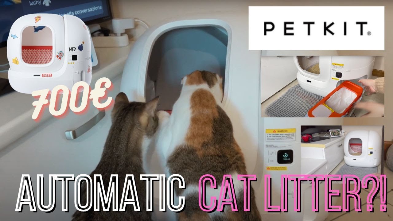 PETKIT PURA MAX COOL EDITION (AUTOMATIC CAT LITTER) * full review * 🐱🐱 | Giulia Pulcini 🎀