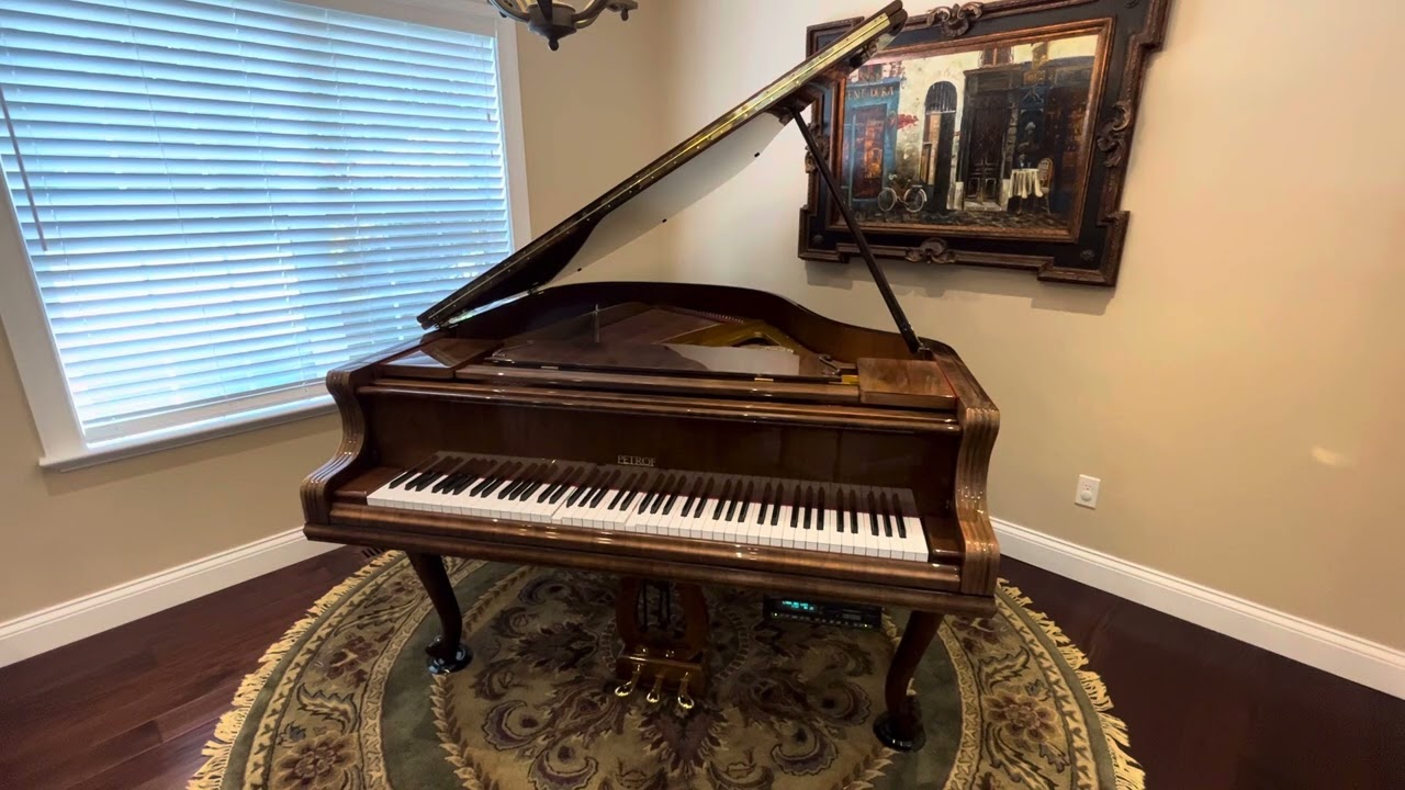 Petrof Grand Player Piano - Linus and Lucy - Pianodisc