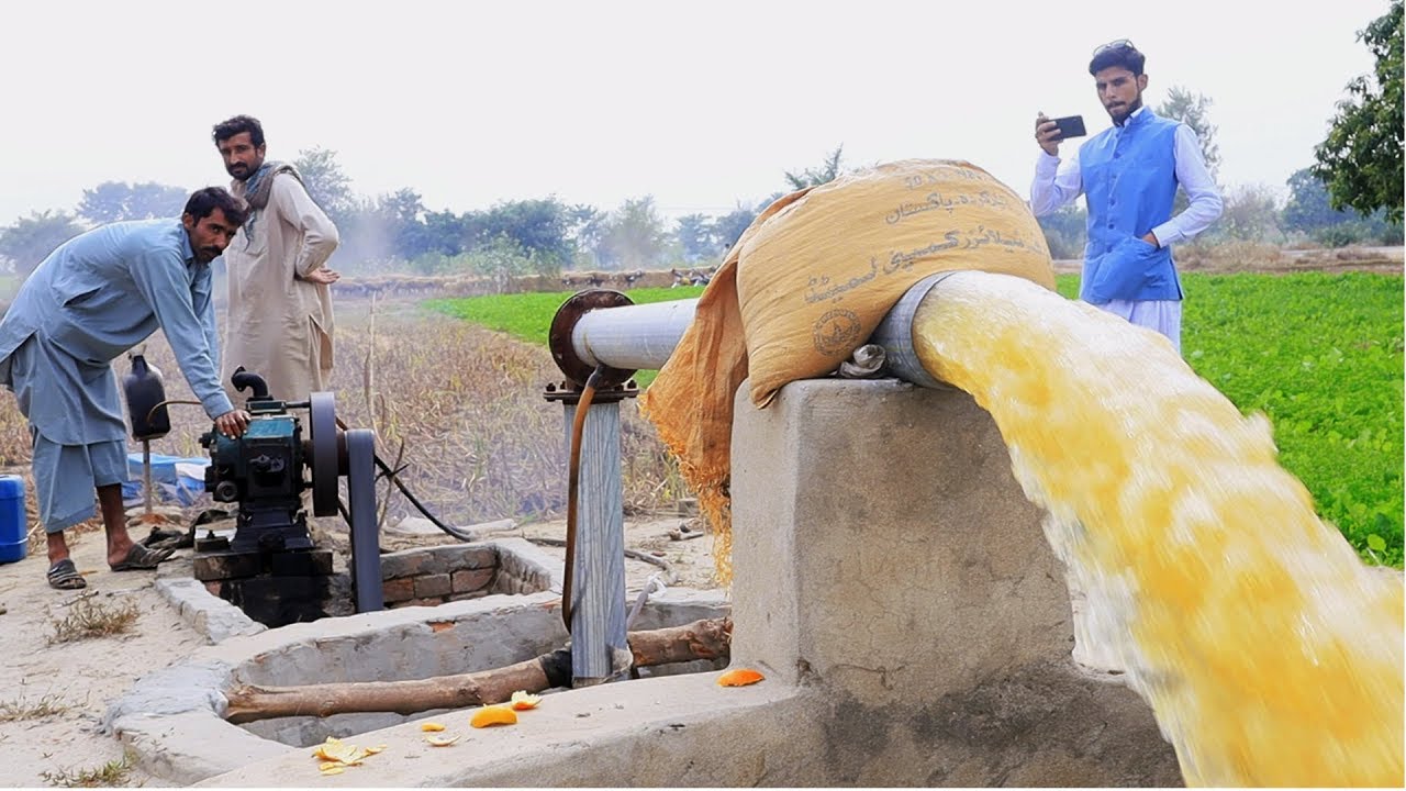 Petter diesel engine tube well || Punjab village tube well diesel engine || tubewell in pakistan