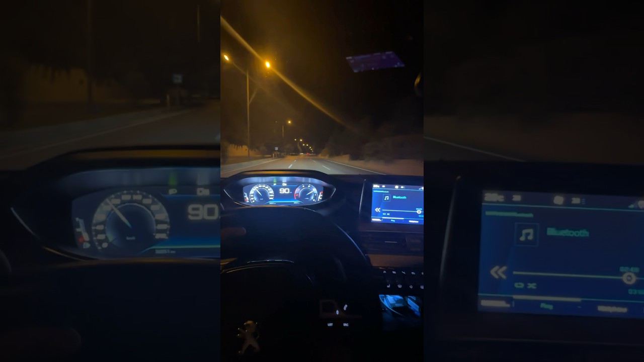 Peugeot 5008 Car Snap - My Neck My Back